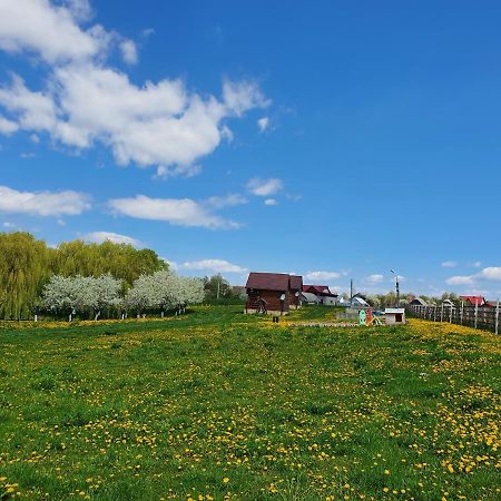 Hotel Popas Todiresti - La Iazul Cu 5 Casute Suceava Exterior foto